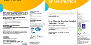 盛健羊乳斩获BRC与IFS双国际认证 中国乳粉迈向全球品质新高度